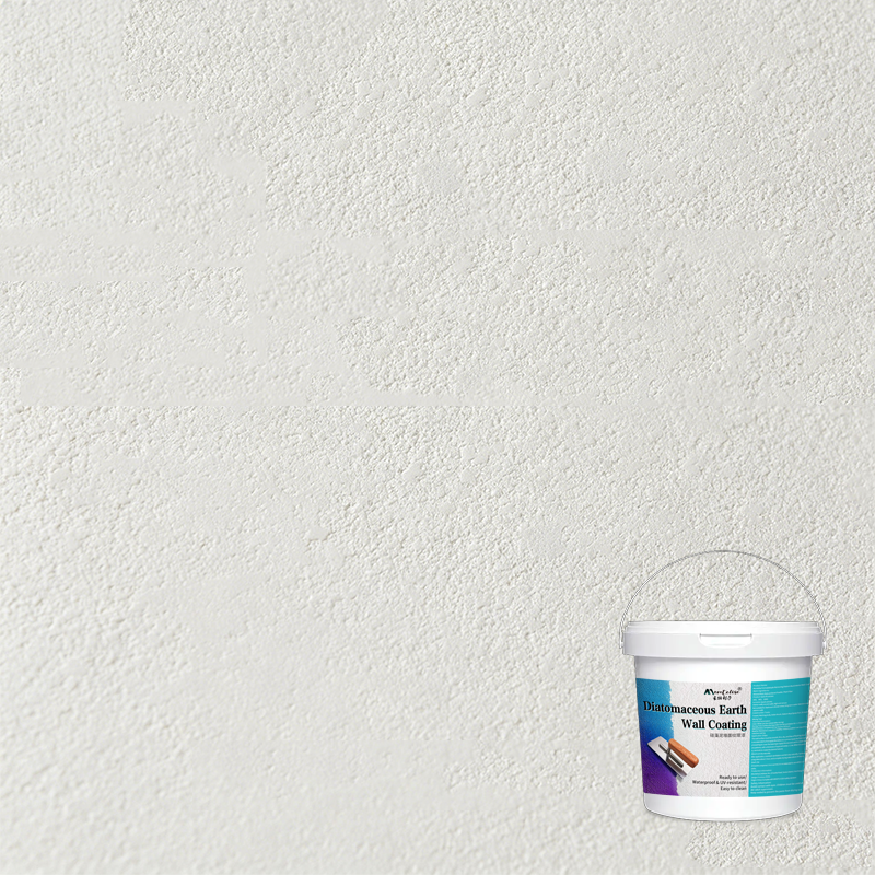 Diatomaceous Earth Wall Coating - 2