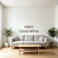 GN01 Cloud White / ???