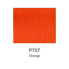 Montelise spray paint PT07 Orange color swatch