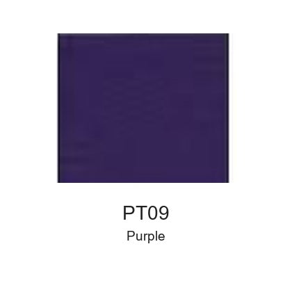 Montelise spray paint PT09 Purple color swatch