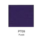 Montelise spray paint PT09 Purple color swatch