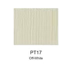 Montelise spray paint PT17 Off-White color swatch