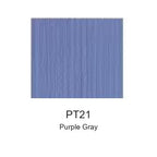 Montelise spray paint PT21 Purple Gray color swatch