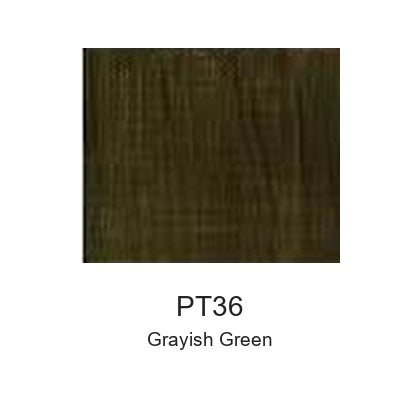 Montelise spray paint PT36 Grayish Green color swatch