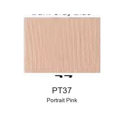 Montelise spray paint PT37 Portrait Pink color swatch