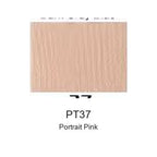 Montelise spray paint PT37 Portrait Pink color swatch